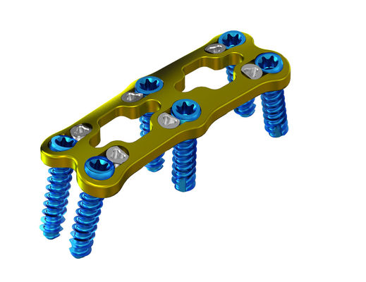 Titanium Vertebra Spinal Anterior Cervical Fixation For Surgery