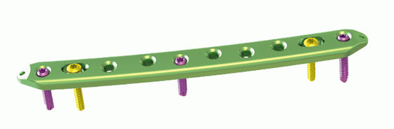 CE Lateral Hook Proximal Femoral Locking Plate