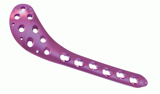 Distal Femur Medial Plate
