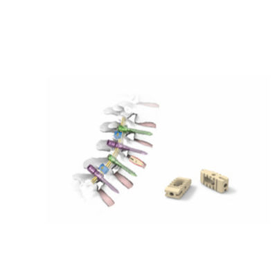 PEEK Spinal Lumbar Interbody Fusion Cage Orthopedic Implant