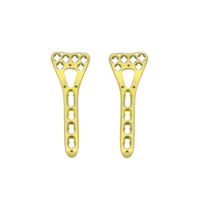 Trauma Multi Axial Palm Distal Radius Fracture Plate II