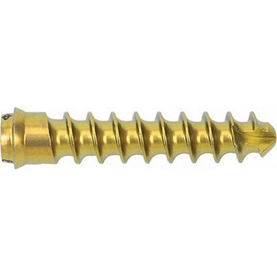 Anterior Cervical Screw Orthopedic Surgery Instrument For Cervical Fixation