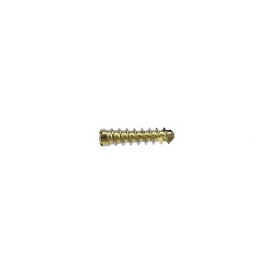 Stainless Steel Implant 2.4mm Locking Bone Screw Orthopedic Surgery Instrument
