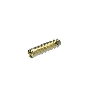 Stainless Steel Implant 2.4mm Locking Bone Screw Orthopedic Surgery Instrument