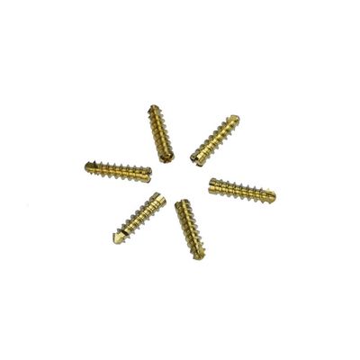Stainless Steel Implant 2.4mm Locking Bone Screw Orthopedic Surgery Instrument