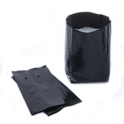 Plastic Seedling Planting Bags With Holes Emergency Clinics Apparatuses